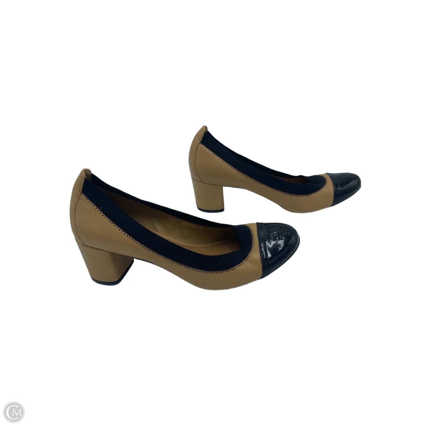 Shoes Designer By Tory Burch In Black & Tan, Size: 8
