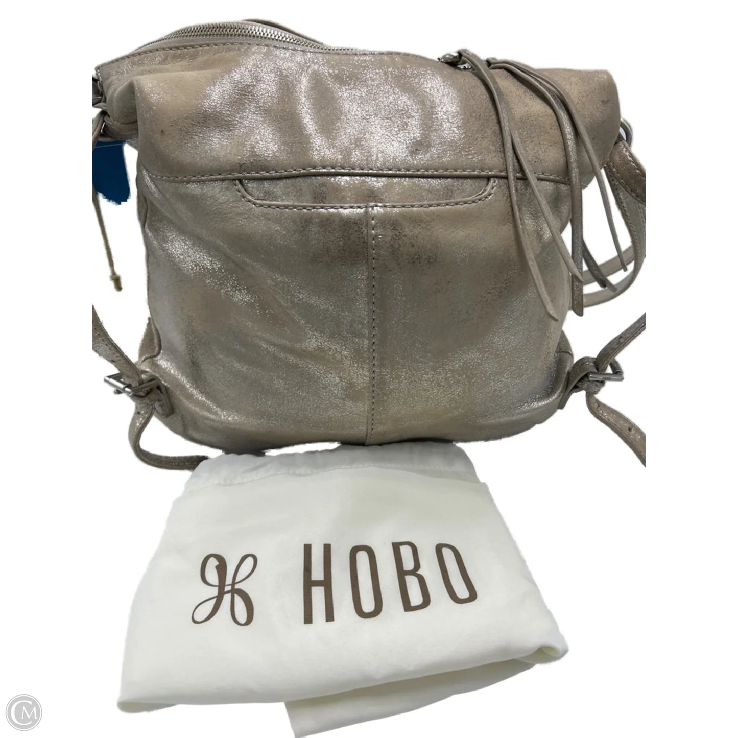 Backpack / Handbag Designer By Hobo Intl
