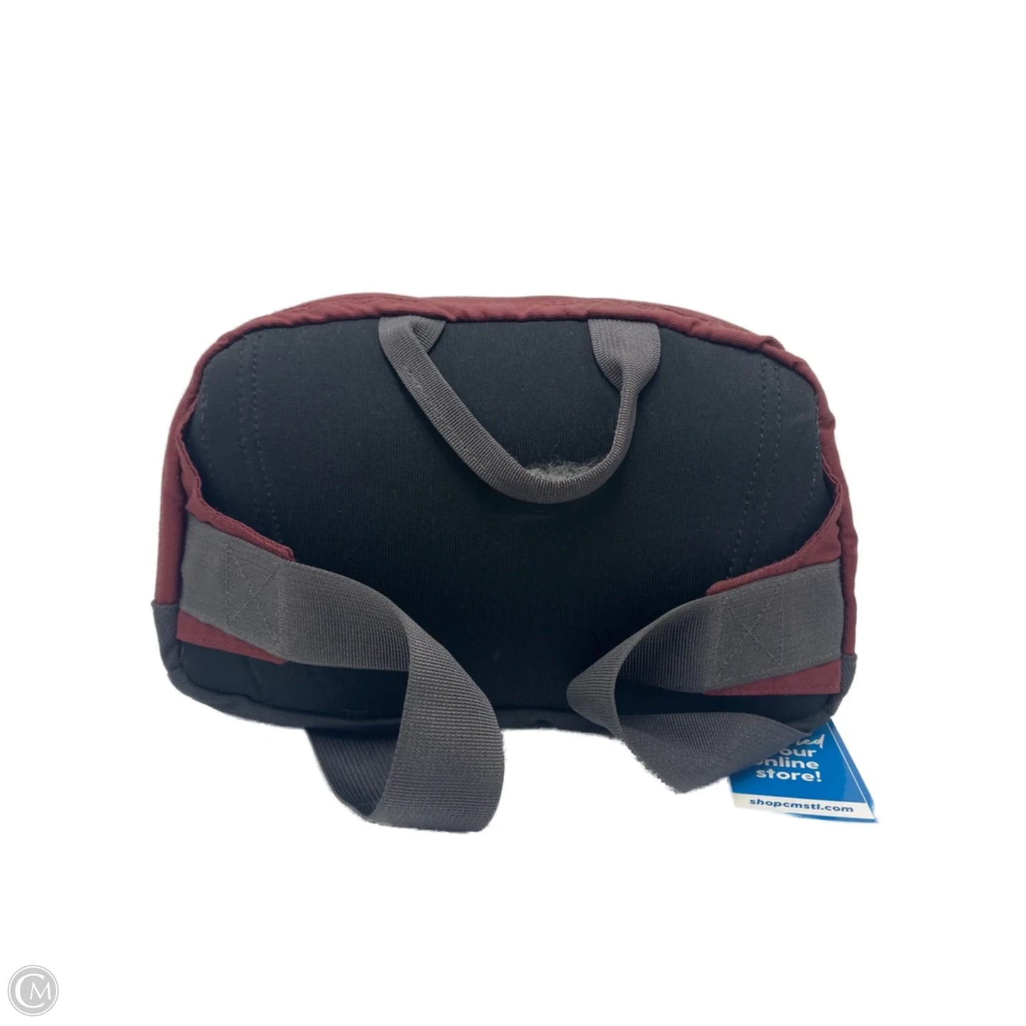 Belt Bag / Designer Crossbody By The North Face