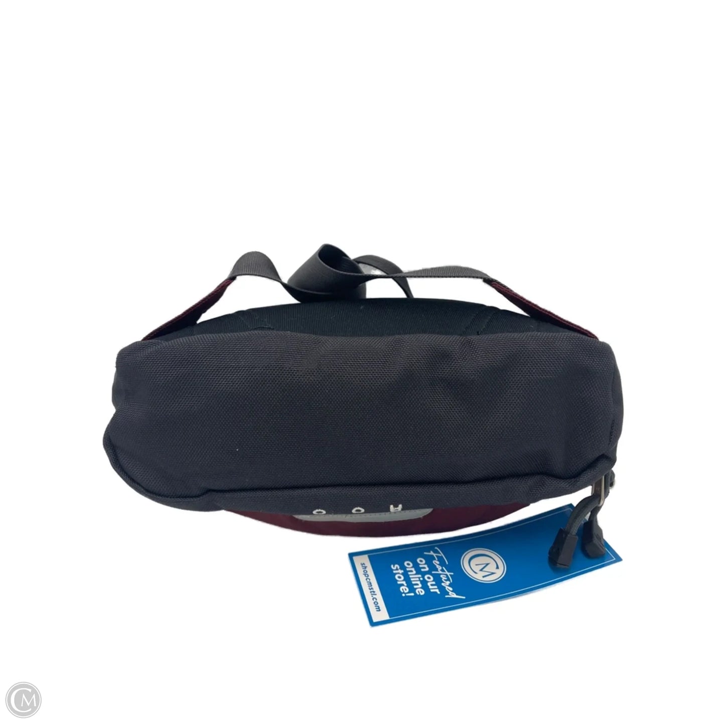 Belt Bag / Designer Crossbody By The North Face