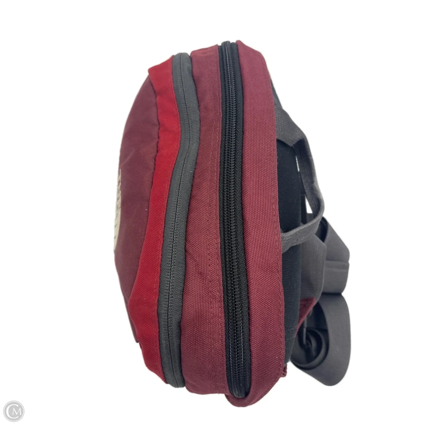 Belt Bag / Designer Crossbody By The North Face