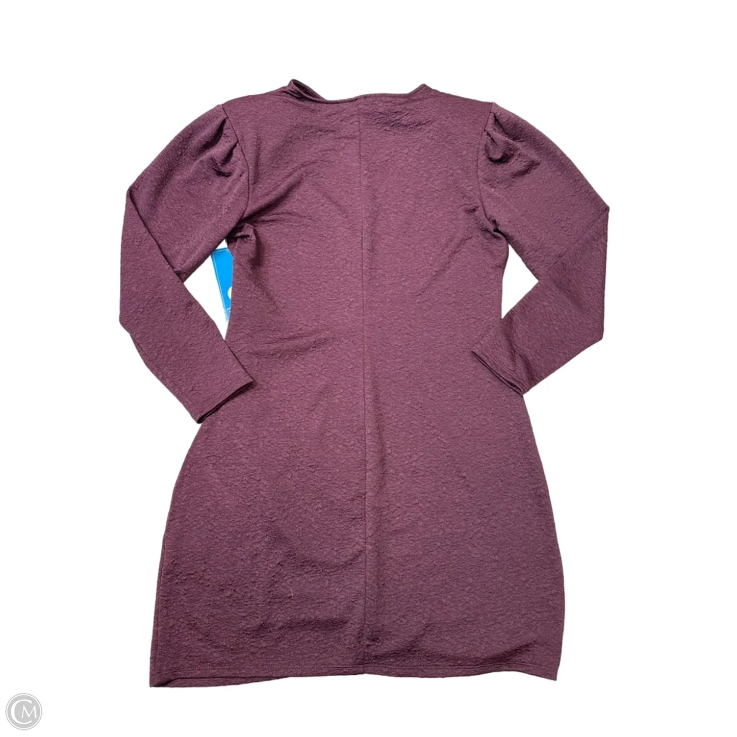 New! Dress Casual Short By Express In Purple, Size: L