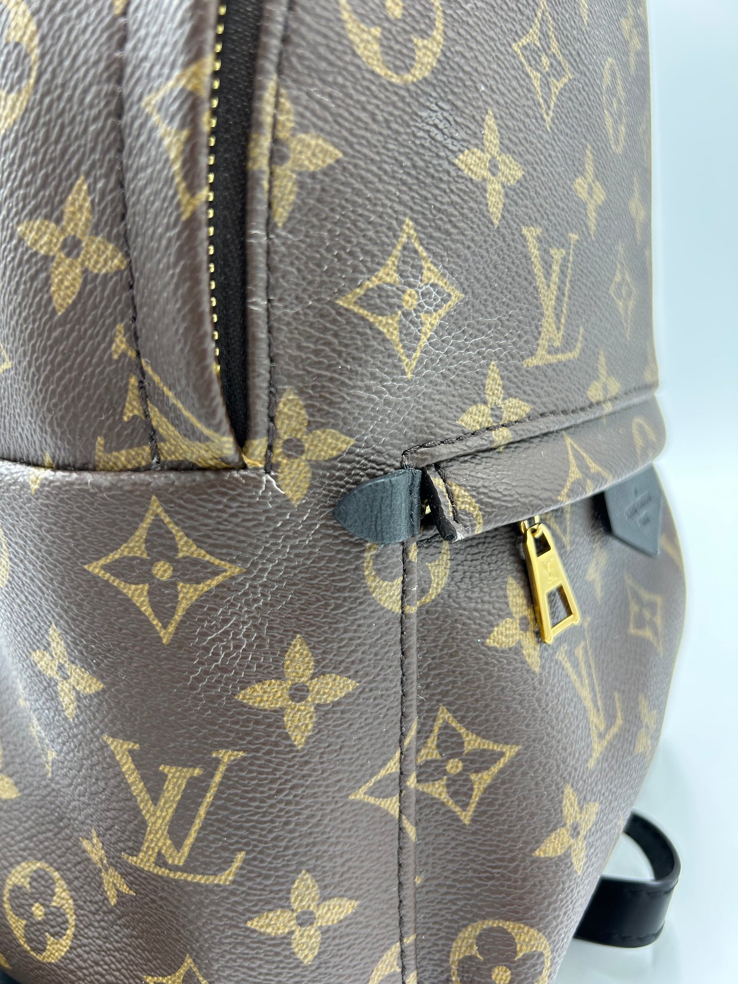 Louis Vuitton Palm Springs Luxury Backpack Handbag
