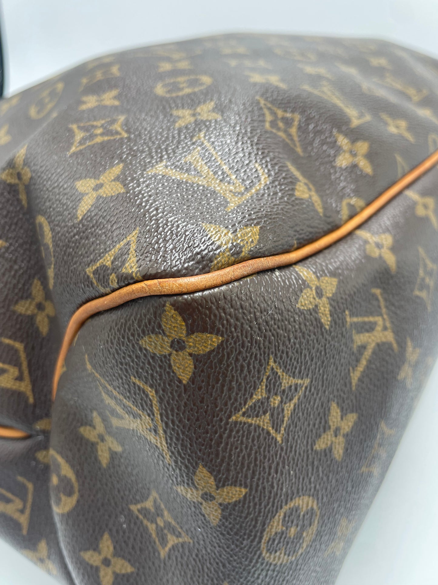 Louis Vuitton Monogram Delightfull MM Luxury Handbag
