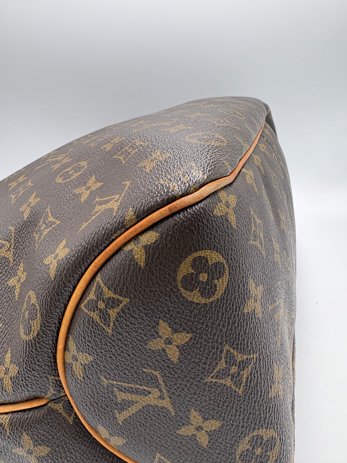 Louis Vuitton Delightful MM Hobo Luxury Handbag
