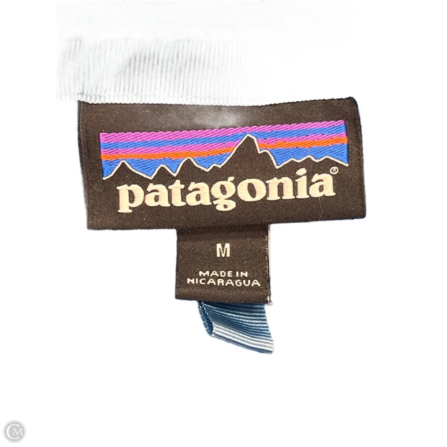 Athletic Fleece By Patagonia In Blue, Size: M