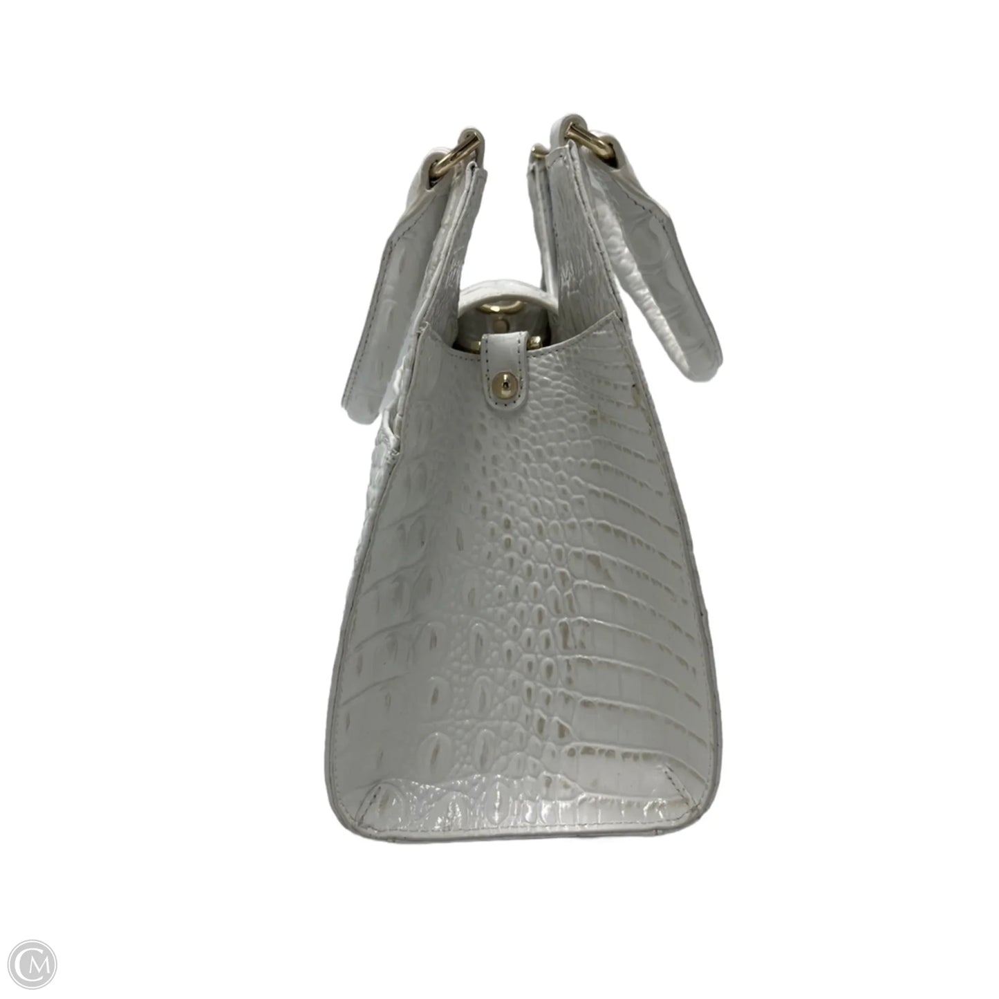 Handbag Designer By Brahmin