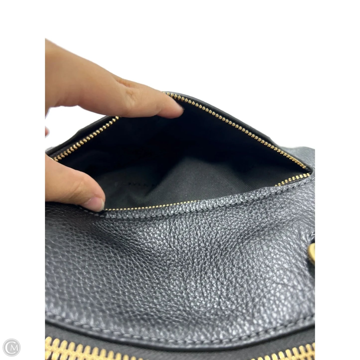 Handbag Designer By Coach