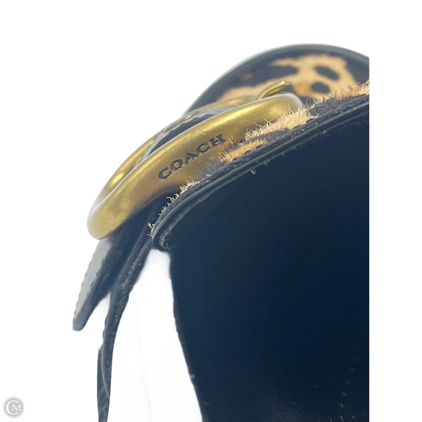 Shoes Designer By Coach In Animal Print, Size: 6