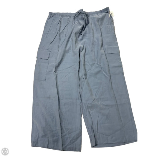 New! Pants Other By Old Navy In Blue, Size: 4x