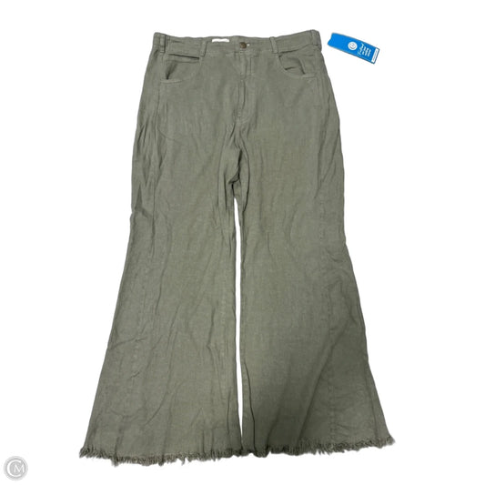 New! Pants Other By Pilcro In Green, Size: 14