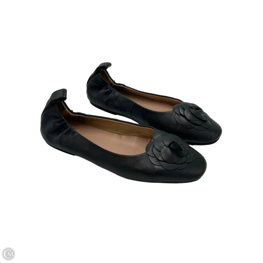 Shoes Flats By Paolo In Black, Size: 9