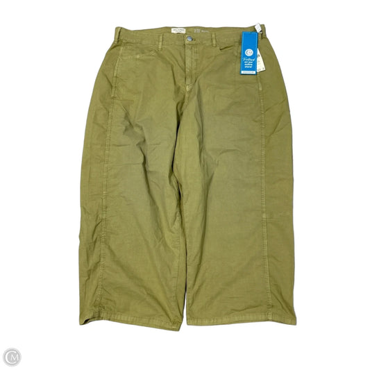 New! Pilcro Pants in Green, Size 18
