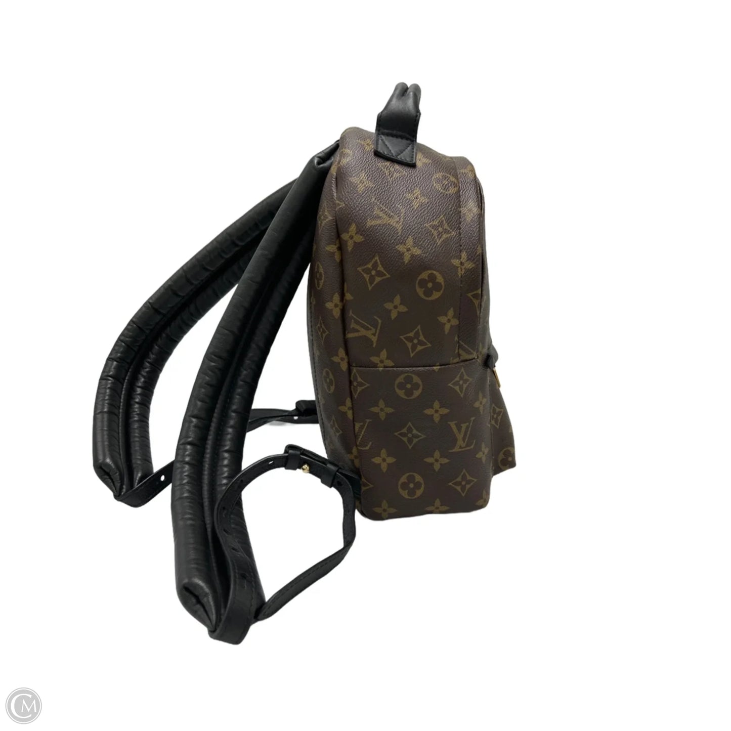 Louis Vuitton Palm Springs Luxury Backpack Handbag