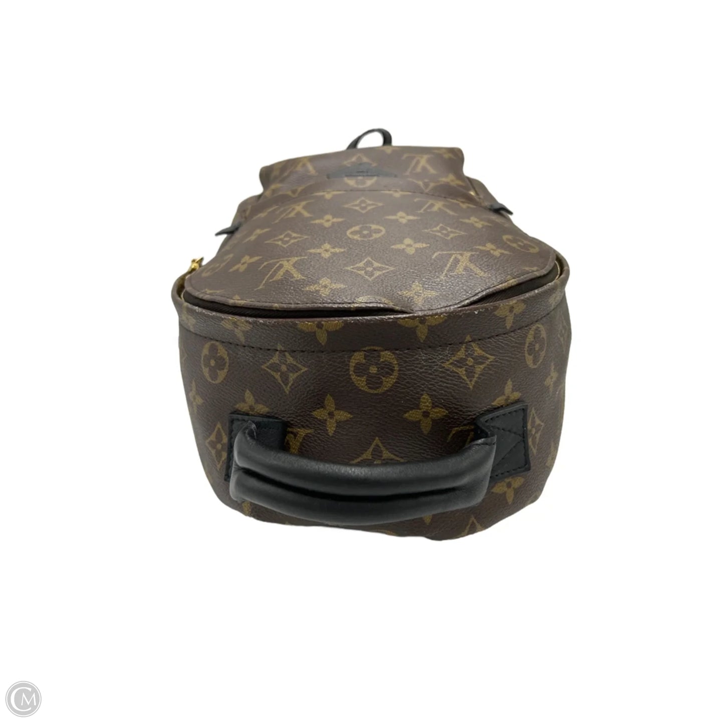 Louis Vuitton Palm Springs Luxury Backpack Handbag