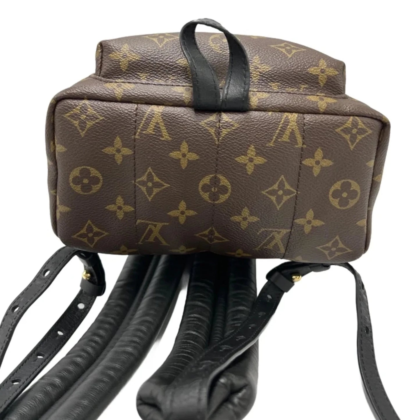Louis Vuitton Palm Springs Luxury Backpack Handbag