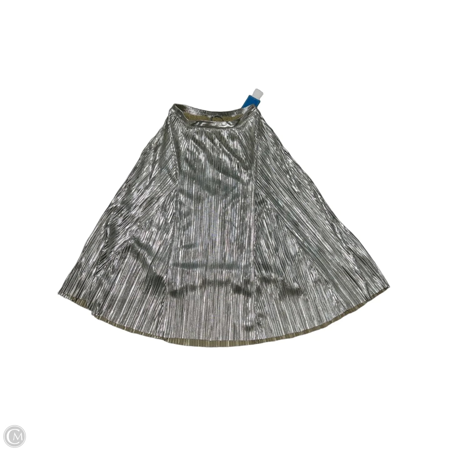 Skirt Maxi By Anthropologie In Silver, Size: S