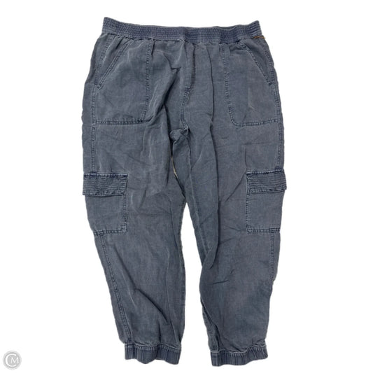 Pants Cargo & Utility By Cynthia Rowley In Blue, Size: Xl