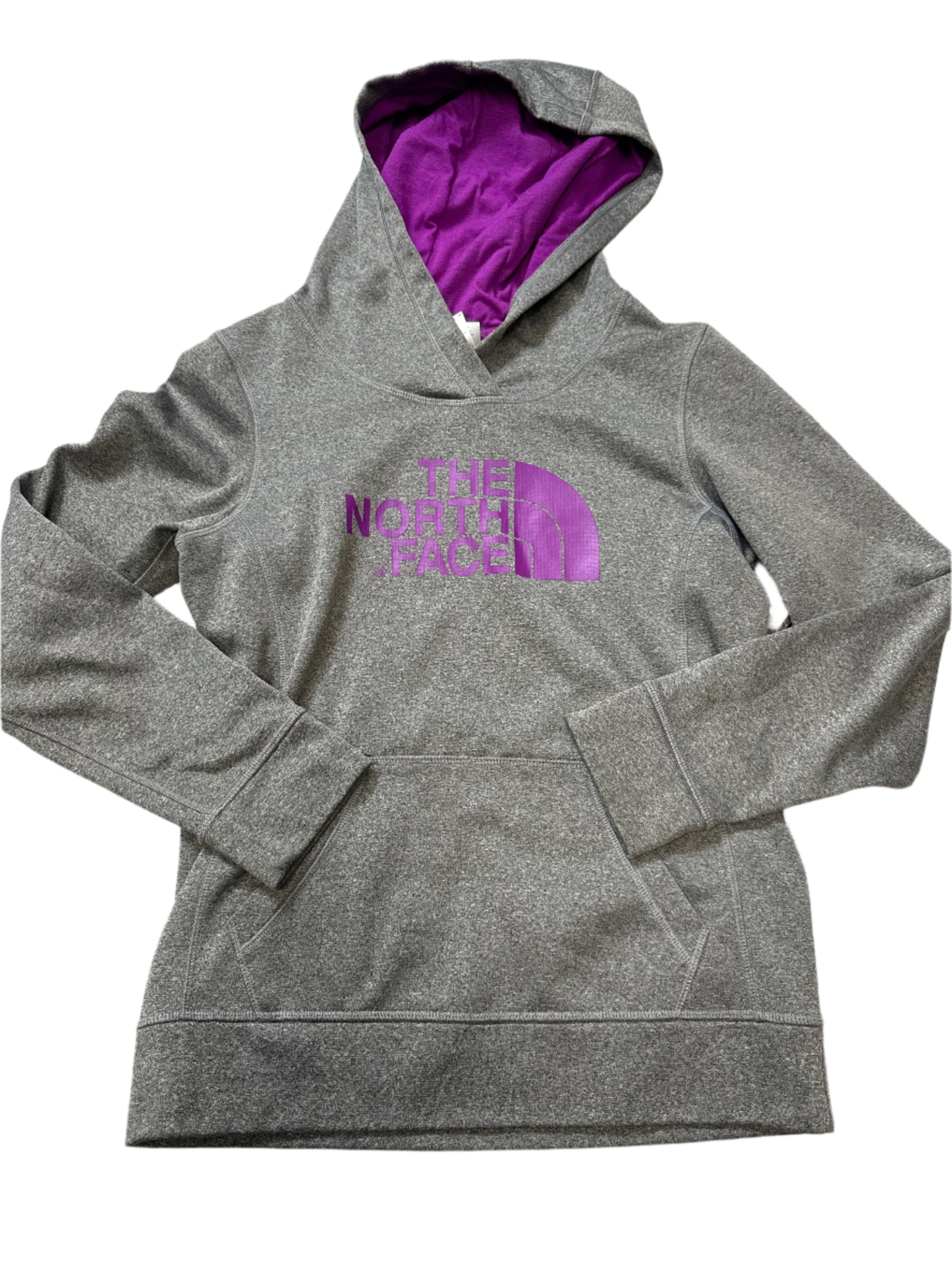 Athletic Sweatshirt Hoodie By The North Face In Grey, Size: S