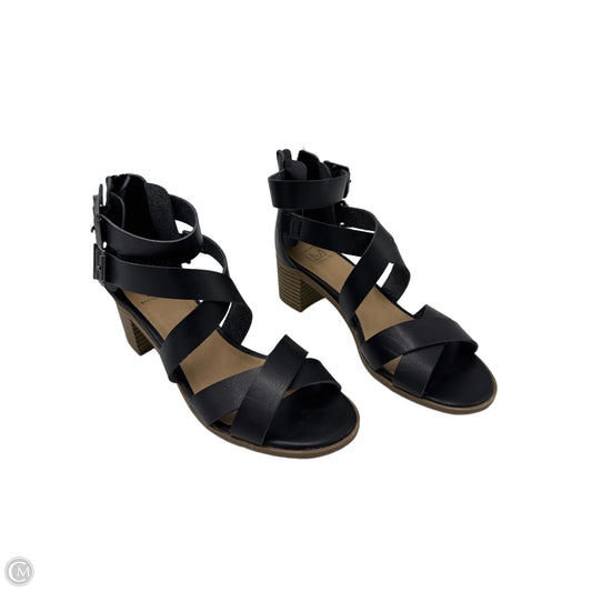 Shoes Heels Block By Material Girl In Black, Size: 6.5