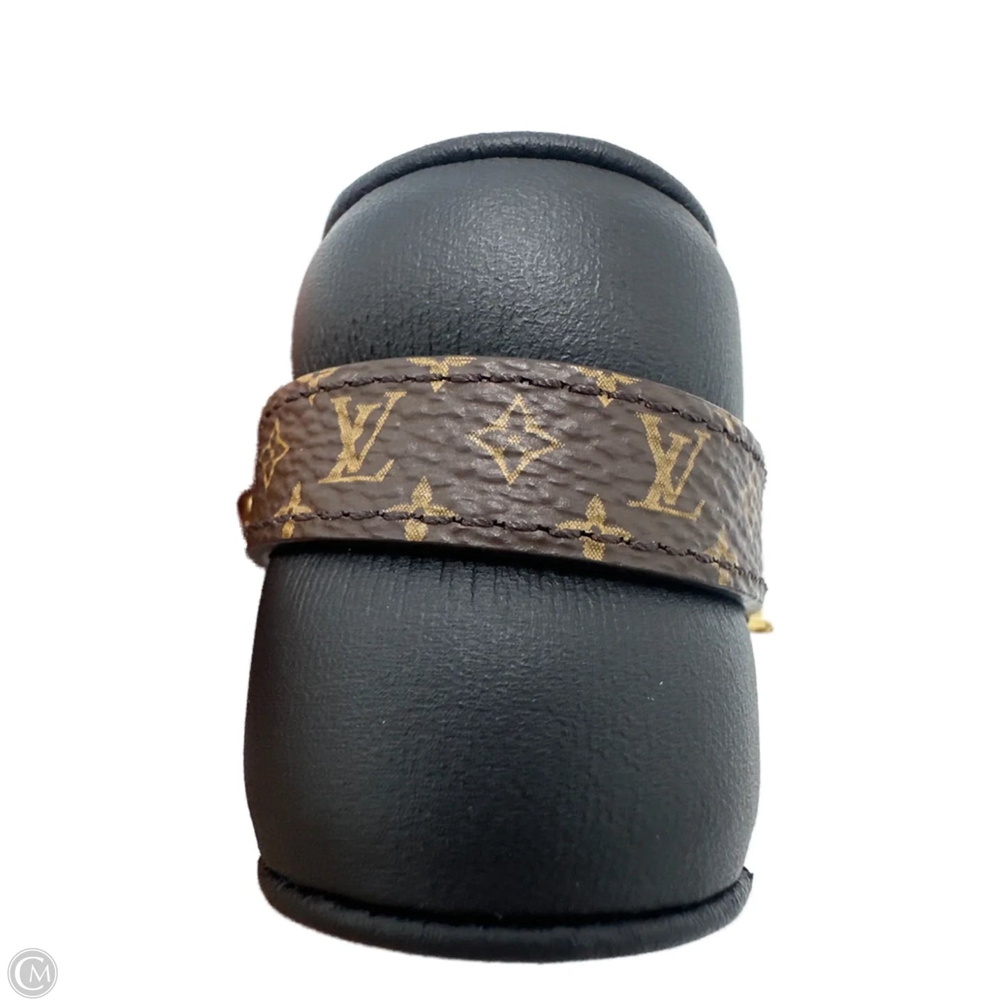 Louis Vuitton LV Iconic Luxury Bracelet