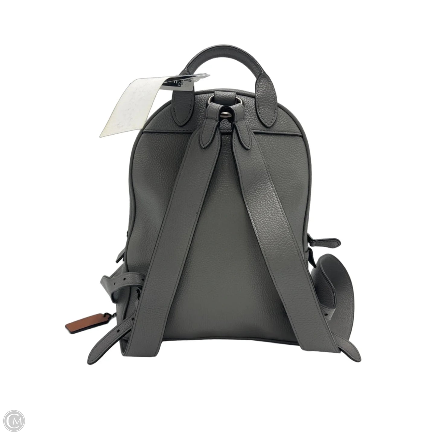 Coach X Disney Carrie Goofy Motif Designer Backpack
