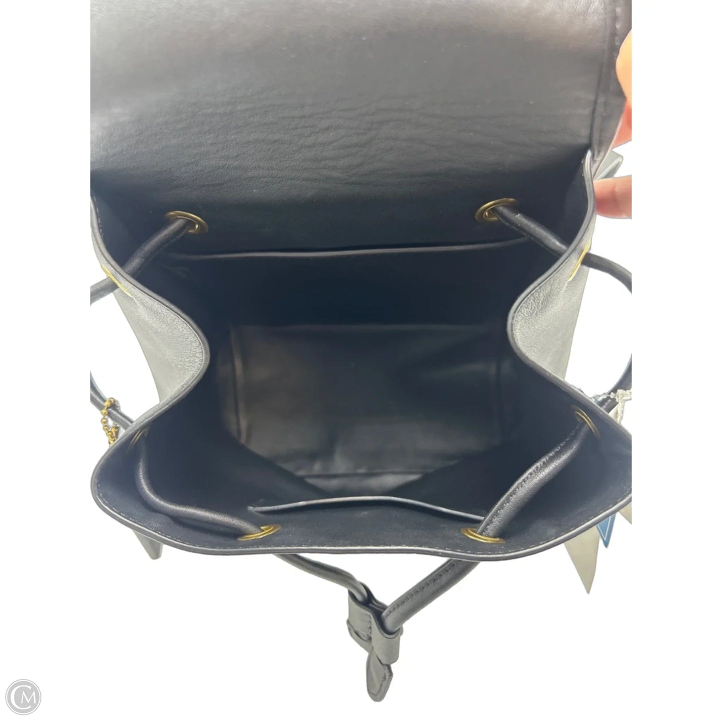 Coach Daypack Designer Backpack