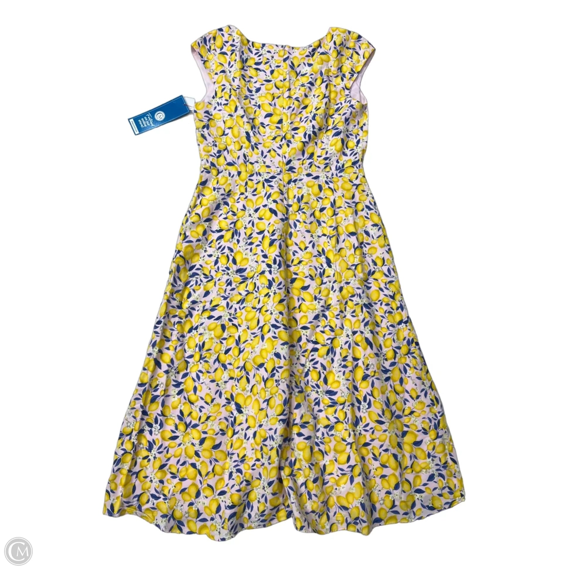 Dress Casual Maxi By Ann Taylor In Pink & Yellow, Size: M – Clothes Mentor St Louis SoCo MO #204