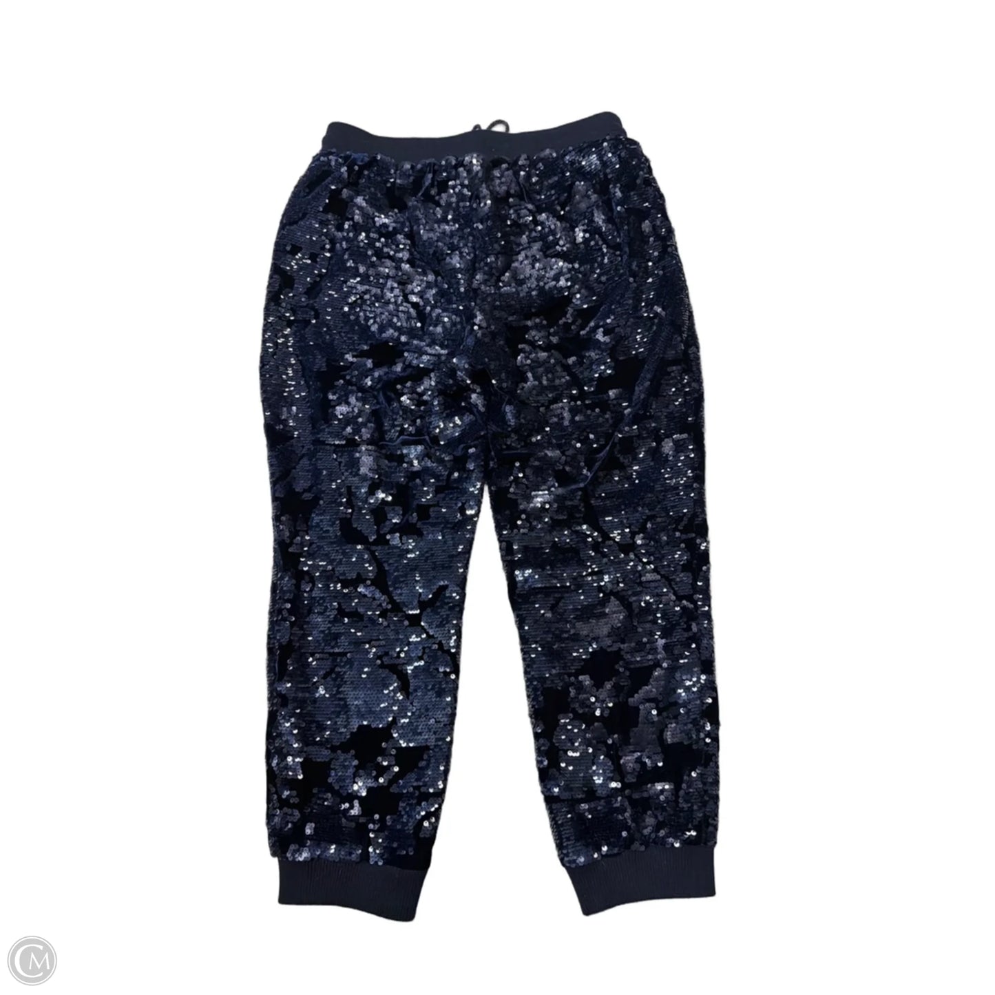 Pants Joggers By Anthropologie In Blue, Size: M