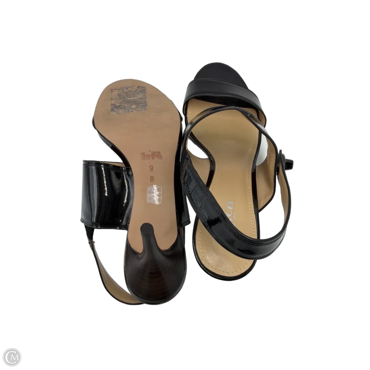 Shoes Designer By Coach In Blue, Size: 9