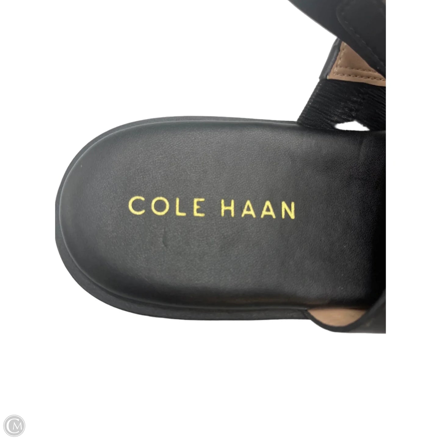 Sandals Designer By Cole-Haan In Black, Size: 9