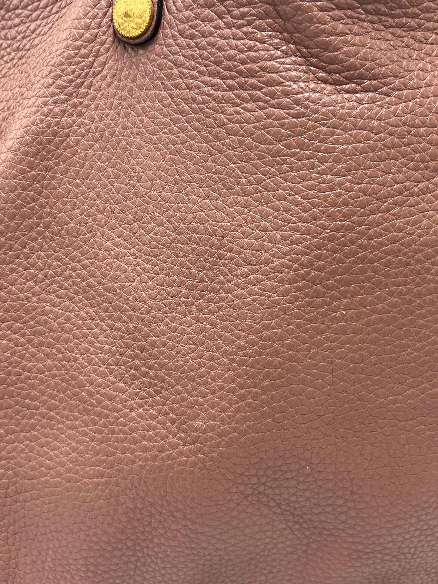 Valentino-Garavani Gryphon Zodiac Designer Luxury Tote