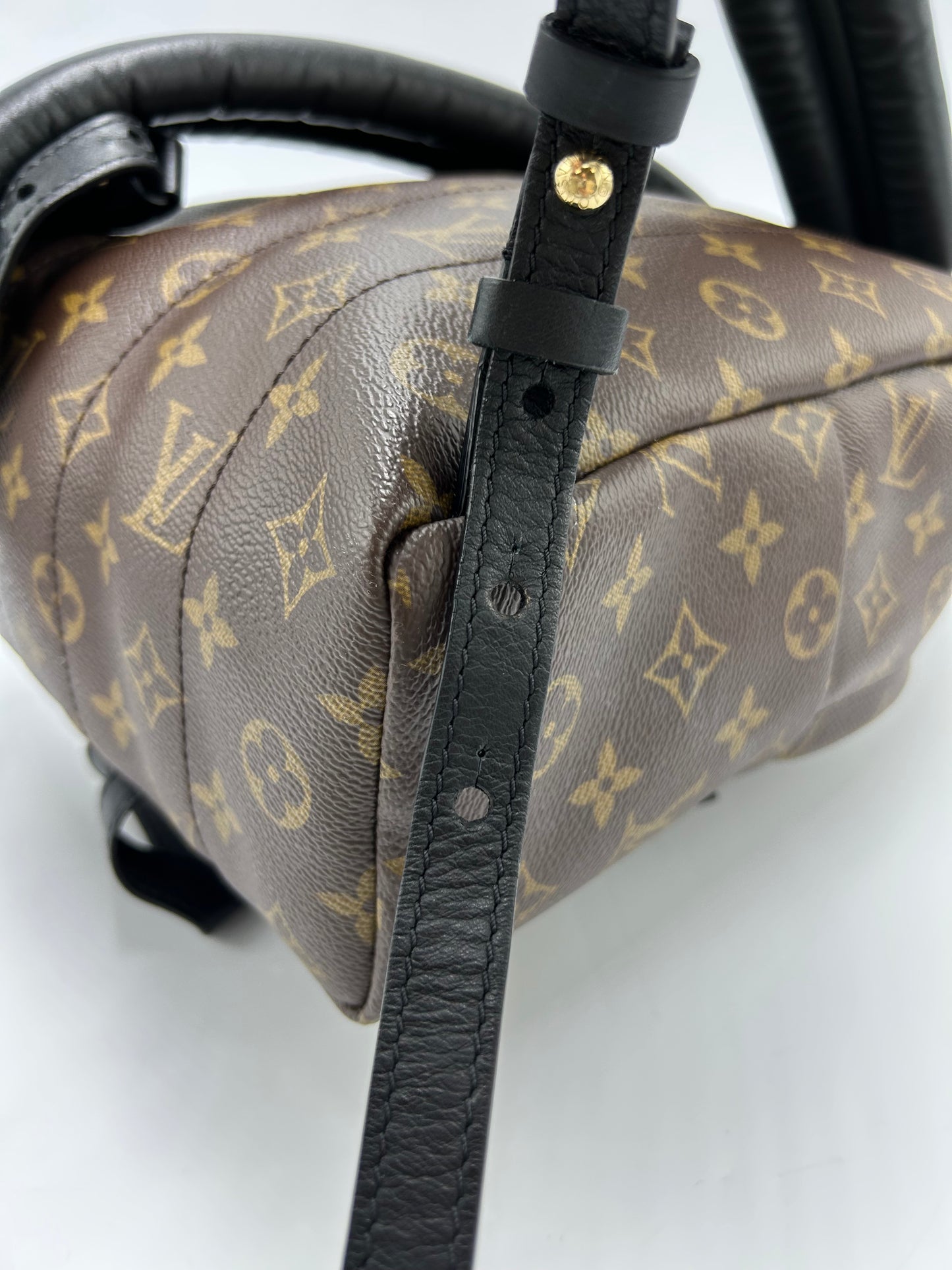 Louis Vuitton Palm Springs Luxury Backpack Handbag