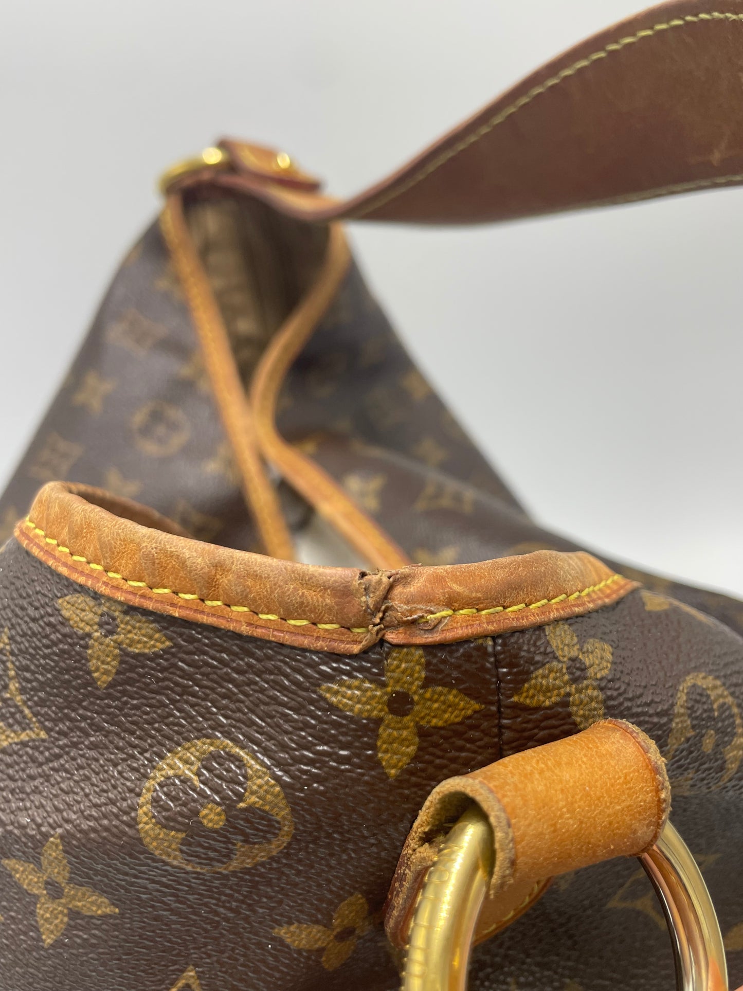 Louis Vuitton Monogram Delightfull MM Luxury Handbag