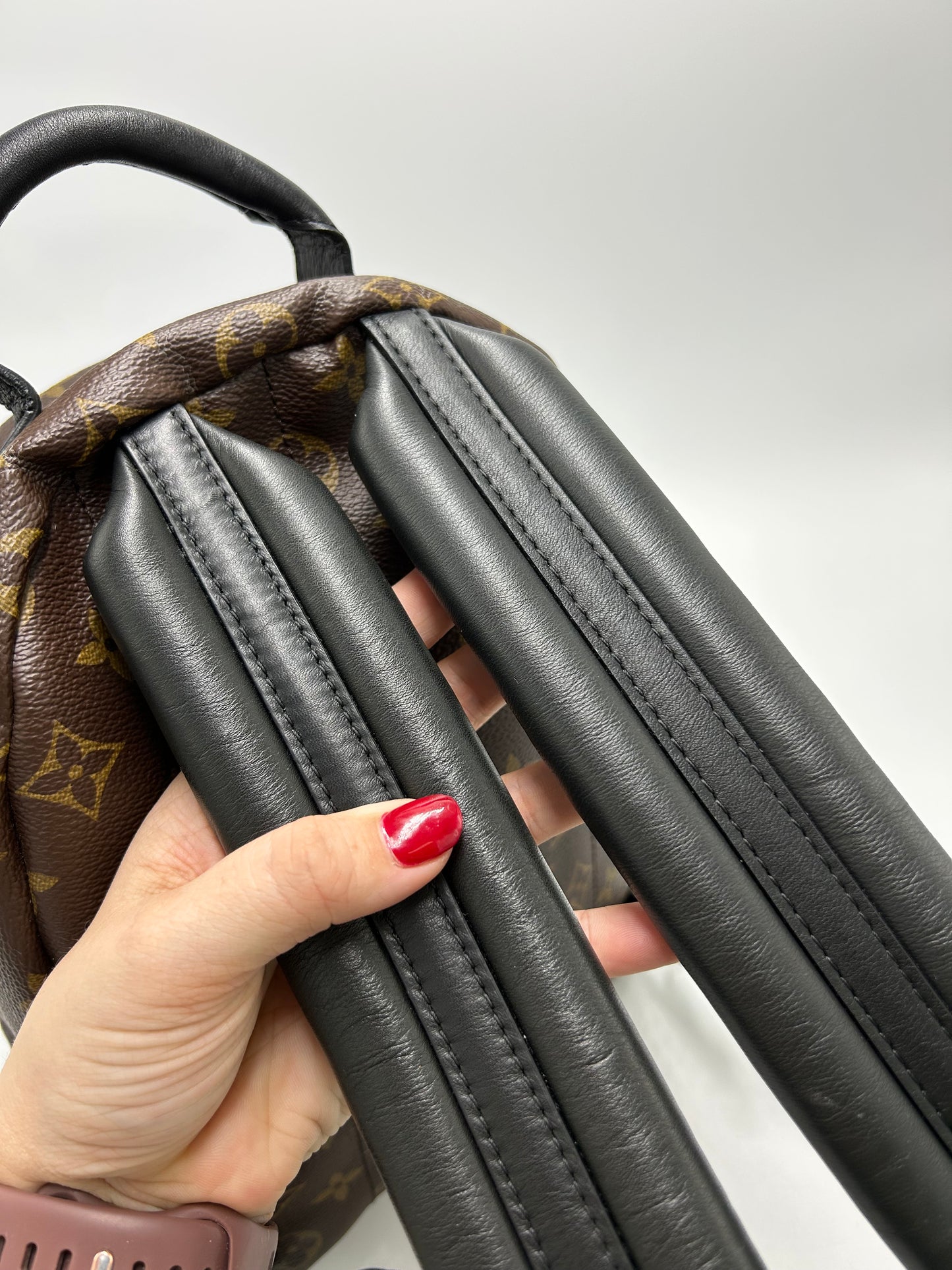 Louis Vuitton Palm Springs Luxury Backpack Handbag