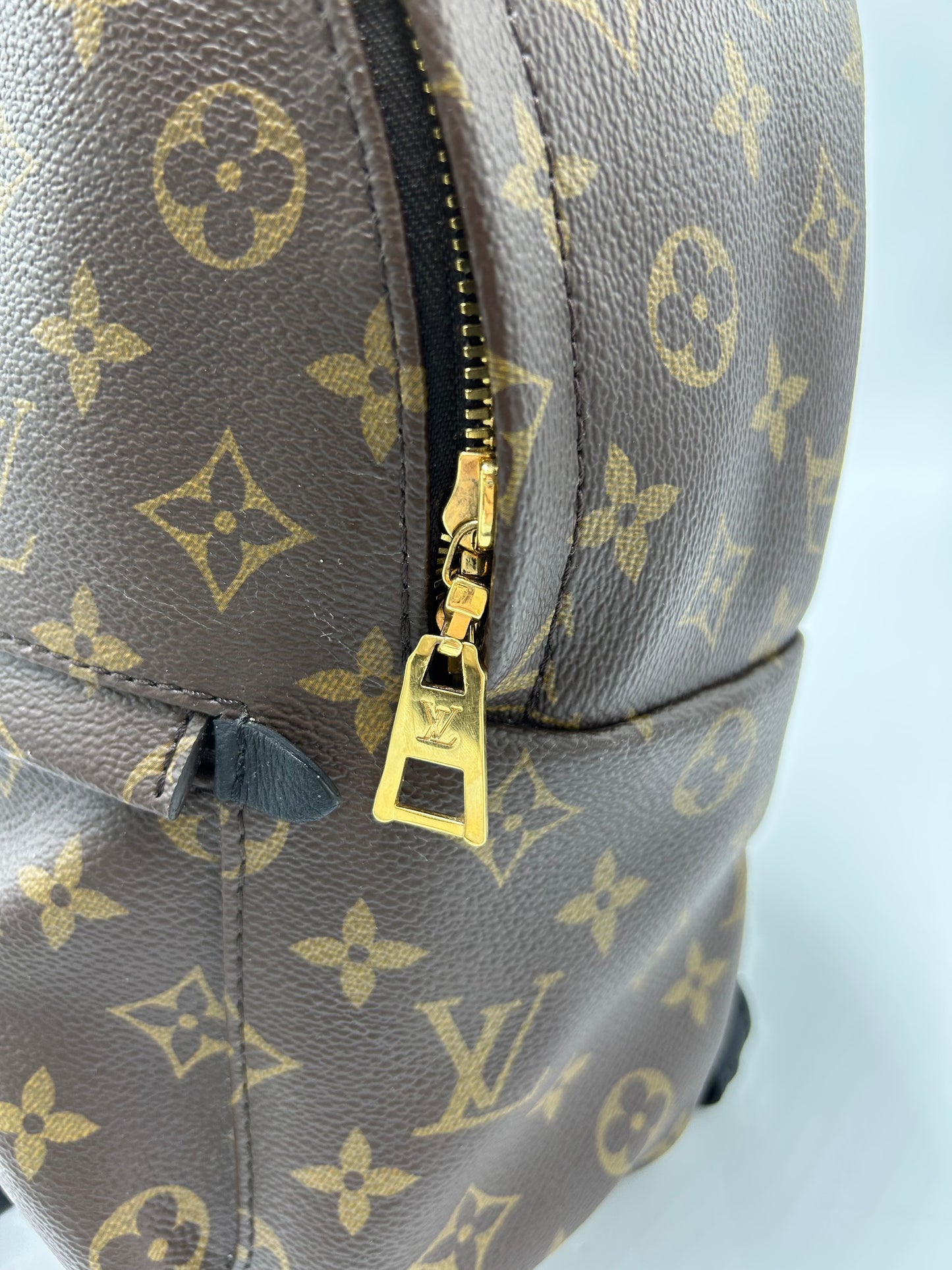 Louis Vuitton Palm Springs Luxury Backpack Handbag