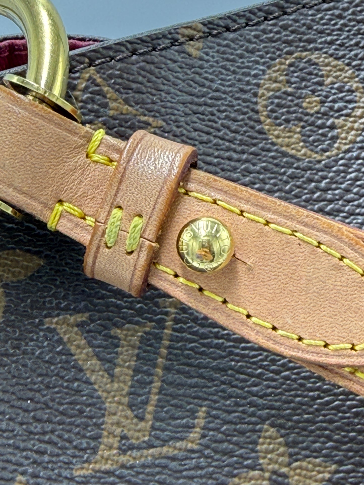 Louis Vuitton Graceful Pivione MM Luxury Handbag