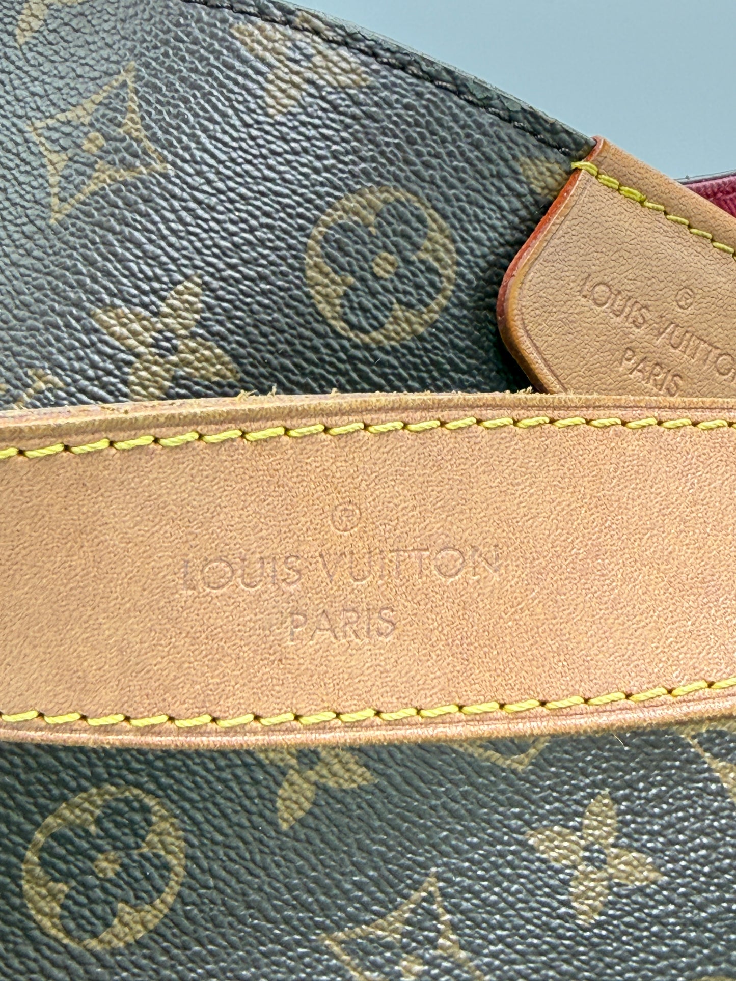 Louis Vuitton Graceful Pivione MM Luxury Handbag