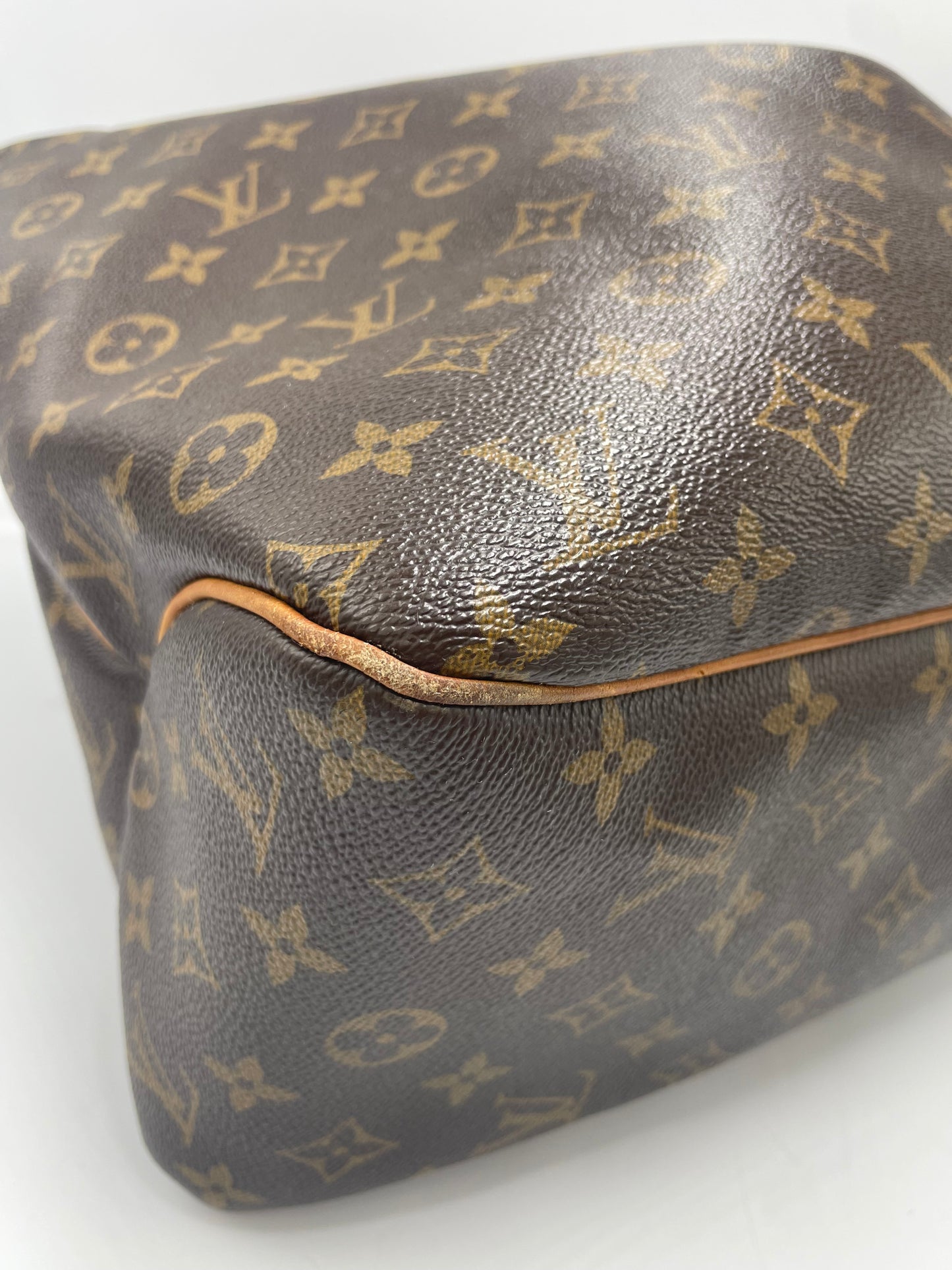 Louis Vuitton Monogram Delightfull MM Luxury Handbag