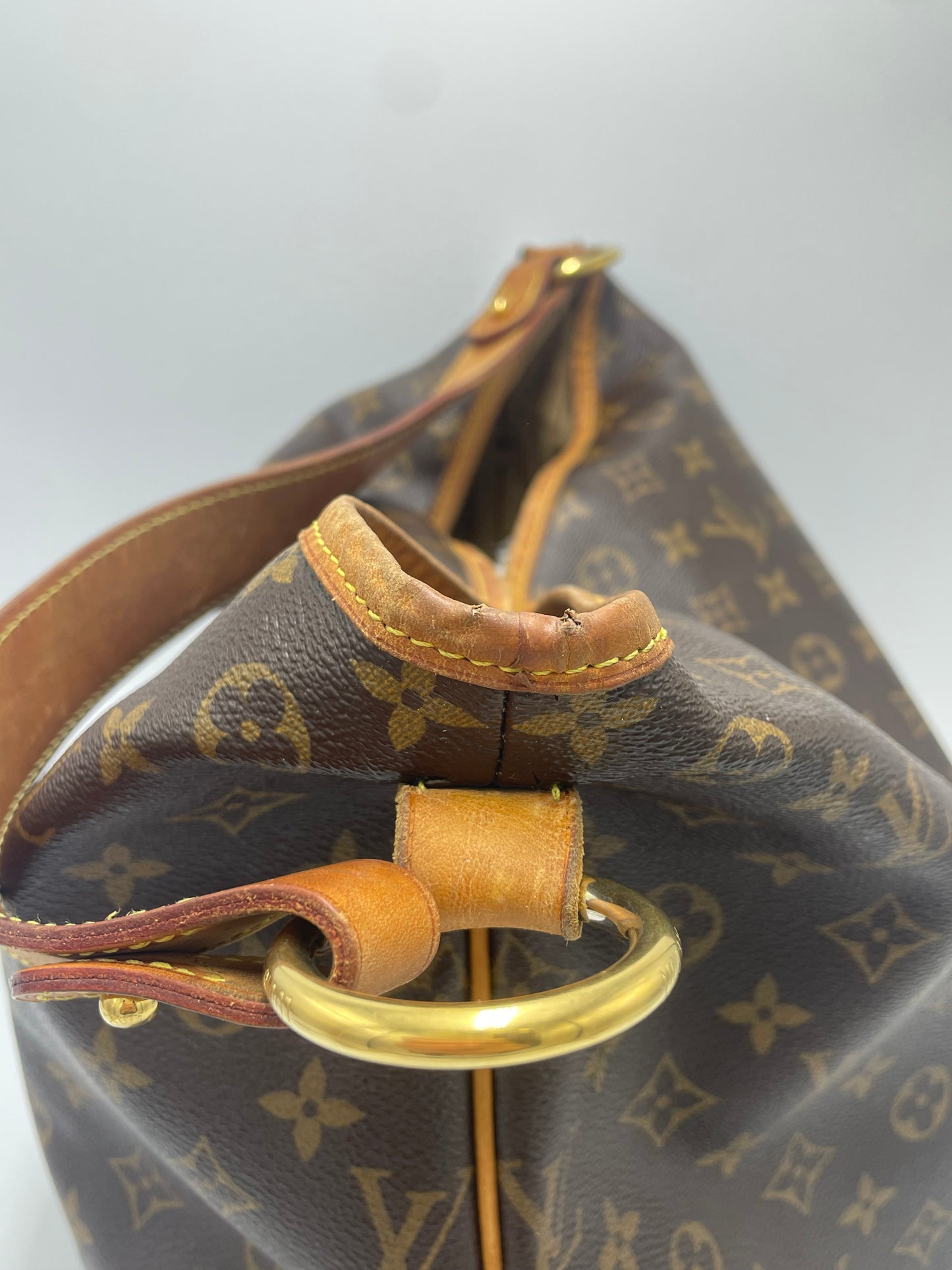 Louis Vuitton Monogram Delightfull MM Luxury Handbag