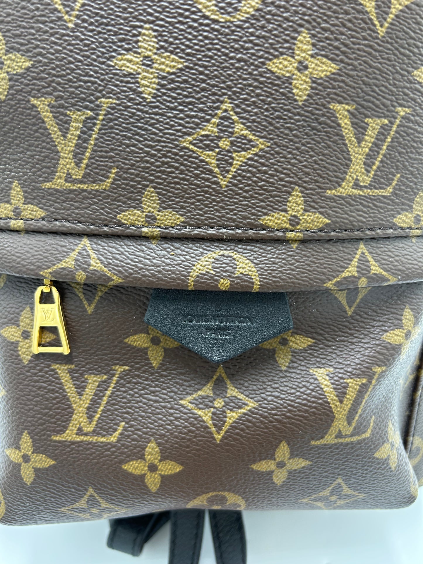Louis Vuitton Palm Springs Luxury Backpack Handbag