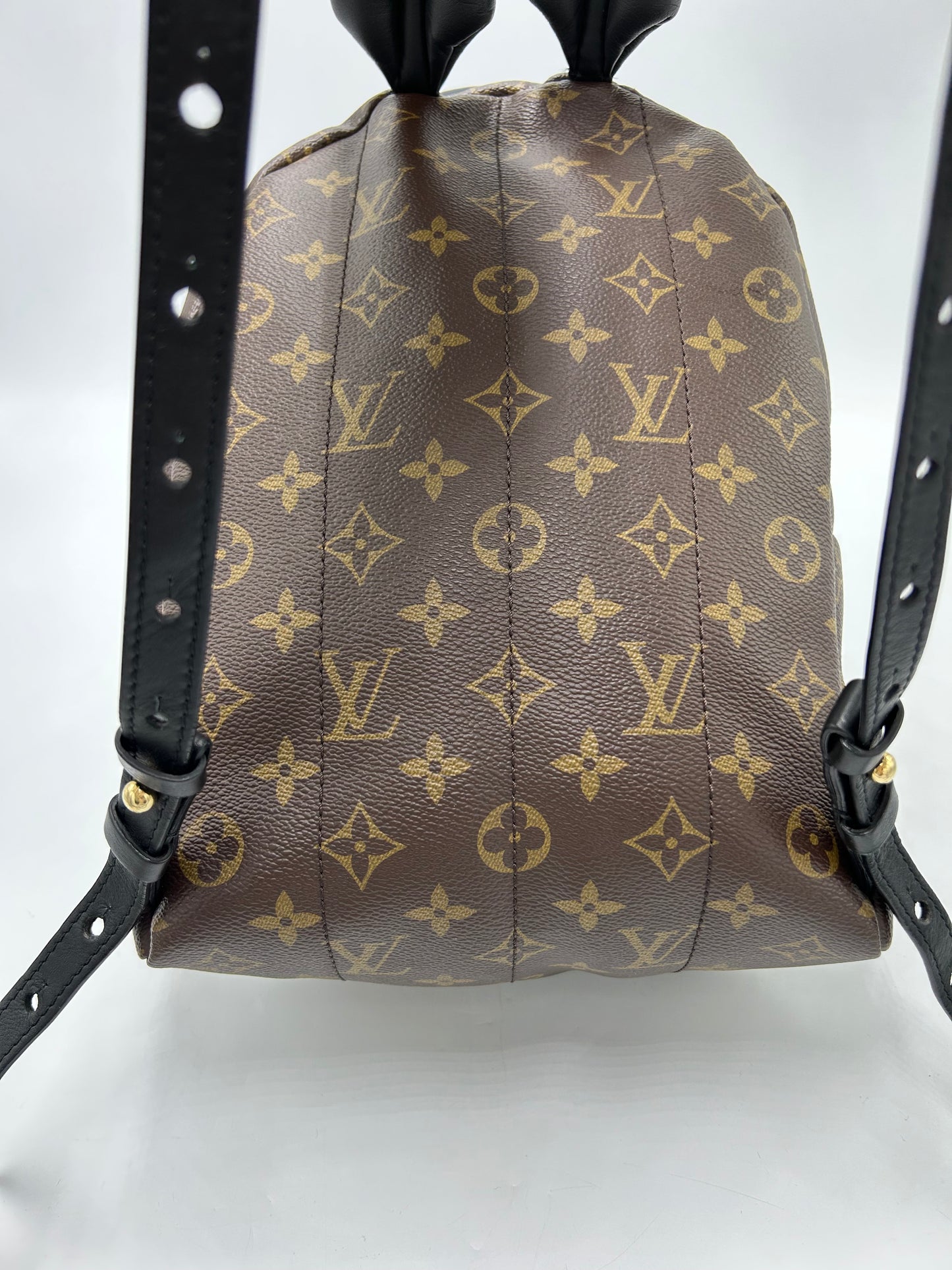 Louis Vuitton Palm Springs Luxury Backpack Handbag