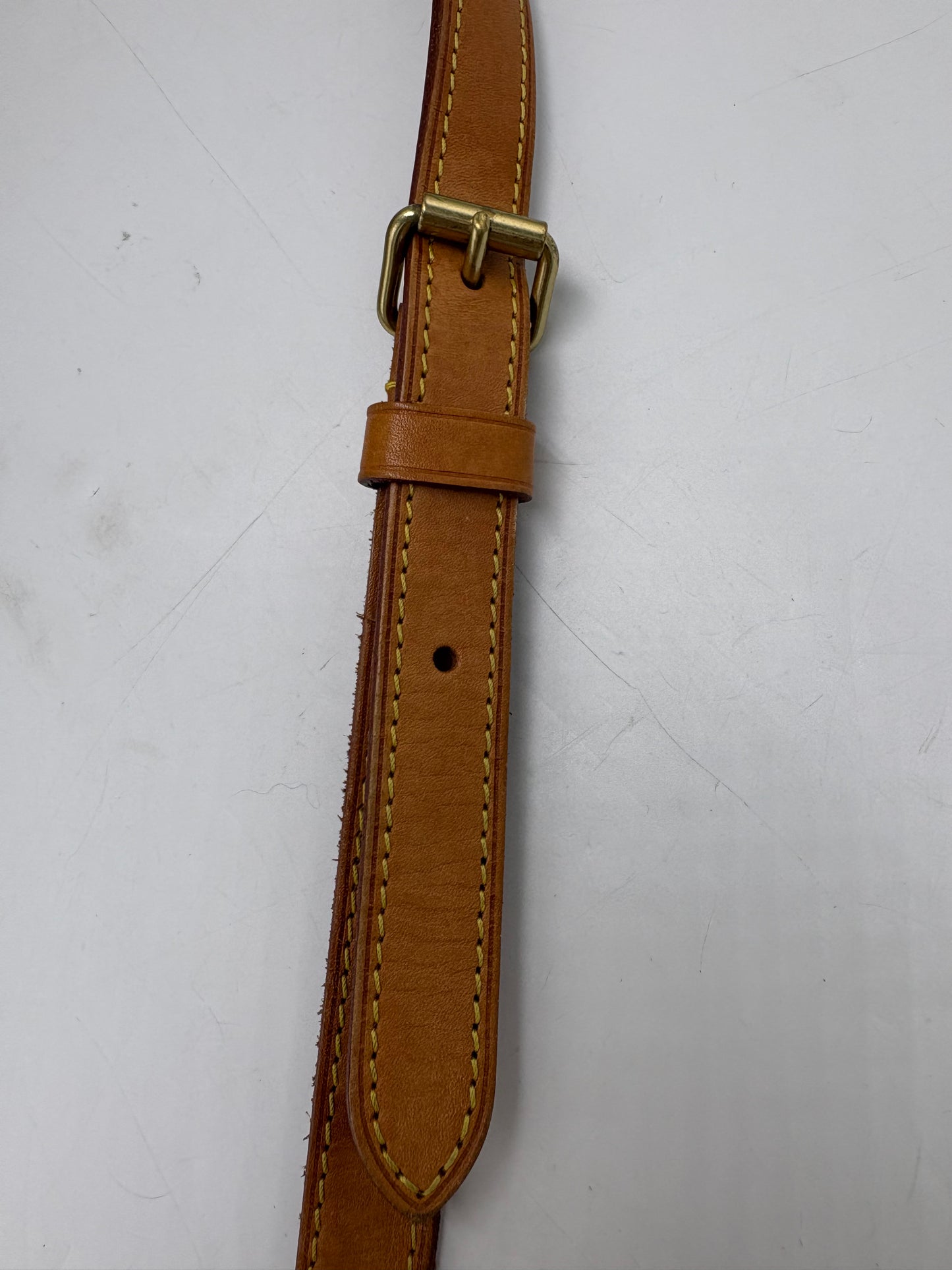 Louis Vuitton Speedy 25 Azur Luxury Handbag