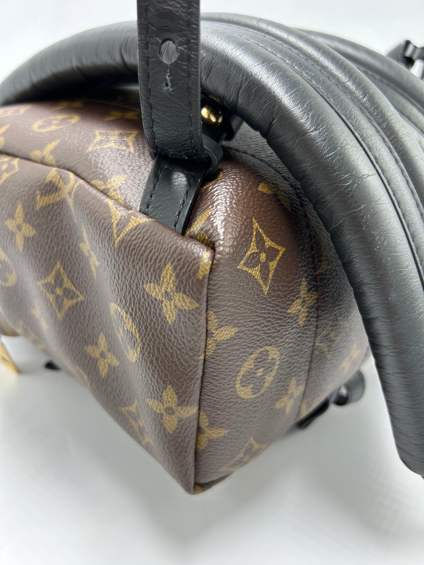 Louis Vuitton Palm Springs Luxury Backpack Handbag