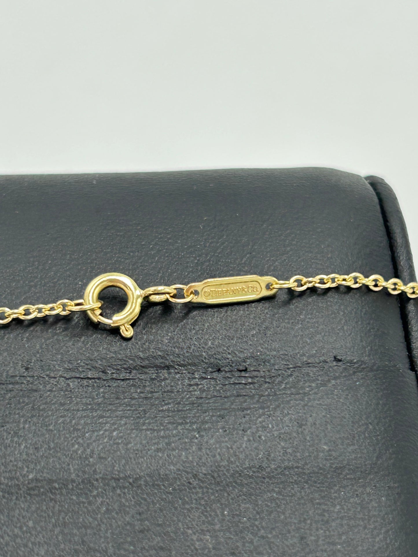 Tiffany & Company 18K Interlocking Circles Luxury Bracelet