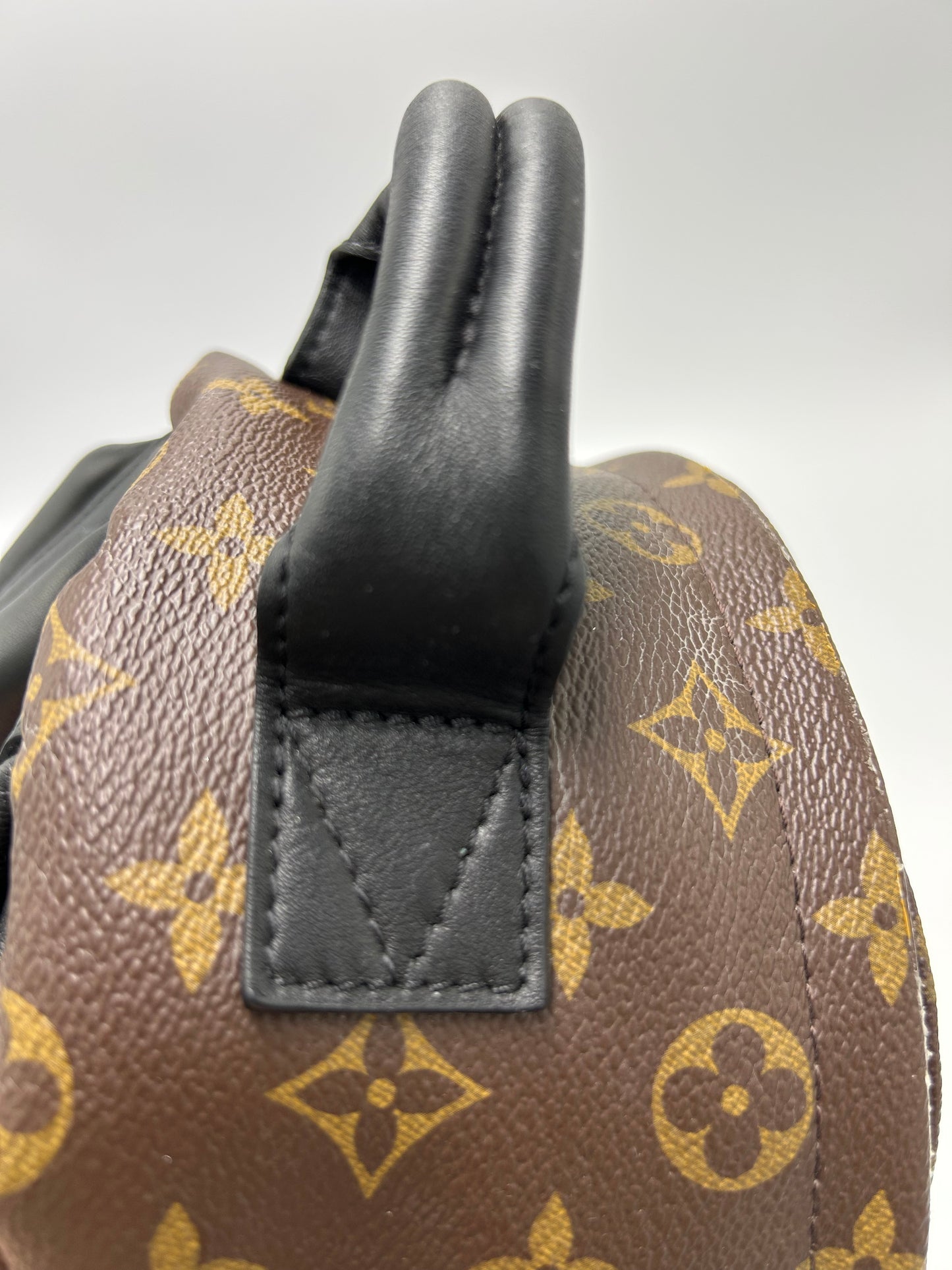 Louis Vuitton Palm Springs Luxury Backpack Handbag