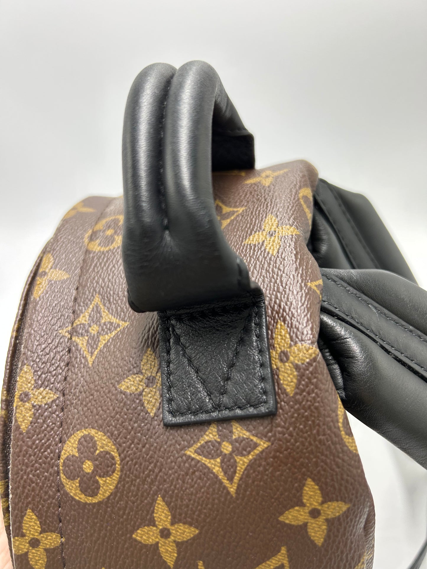 Louis Vuitton Palm Springs Luxury Backpack Handbag