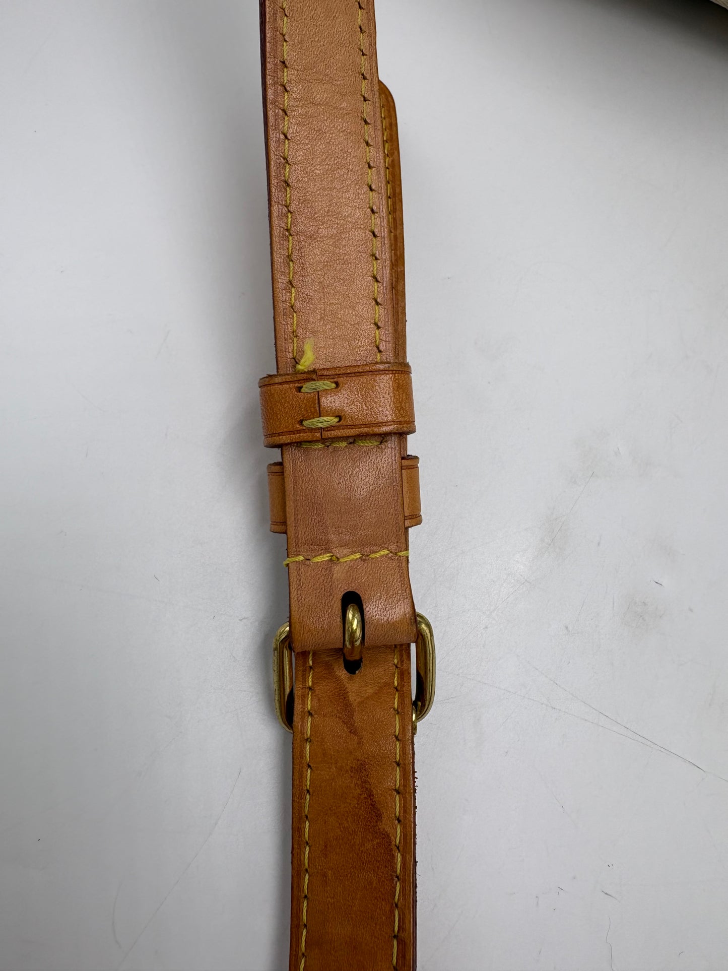 Louis Vuitton Speedy 25 Azur Luxury Handbag