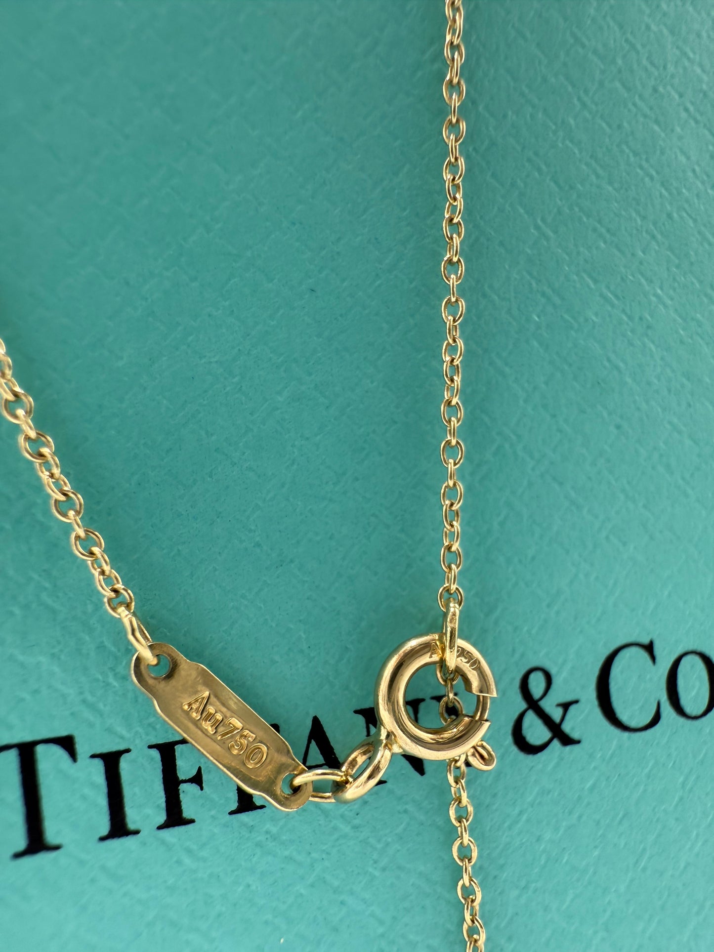 Tiffany & Company Ampersand "&" 18K and Diamond Luxury Necklace