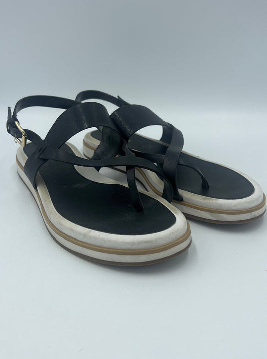 Sandals Designer By Cole-Haan  Size: 9